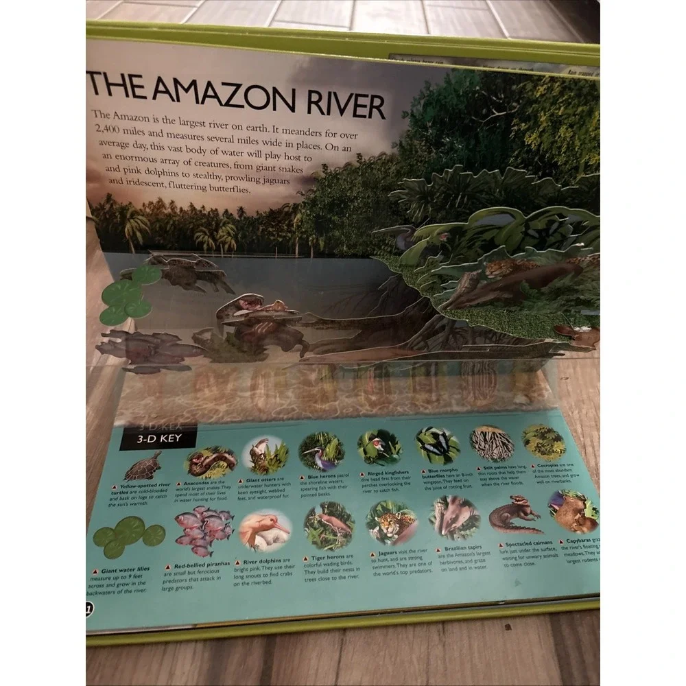 Rainforest 3-D‎ Pop-up Explorer by Dorling Kindersley Hardback Book